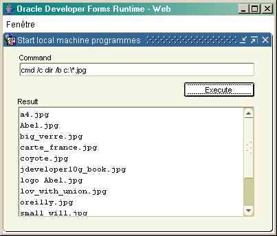 Java Host