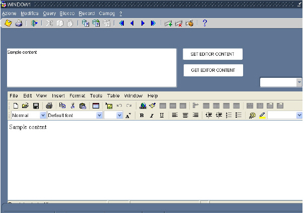 Forms Html Editor Bean